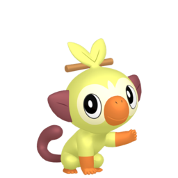 #810 Grookey